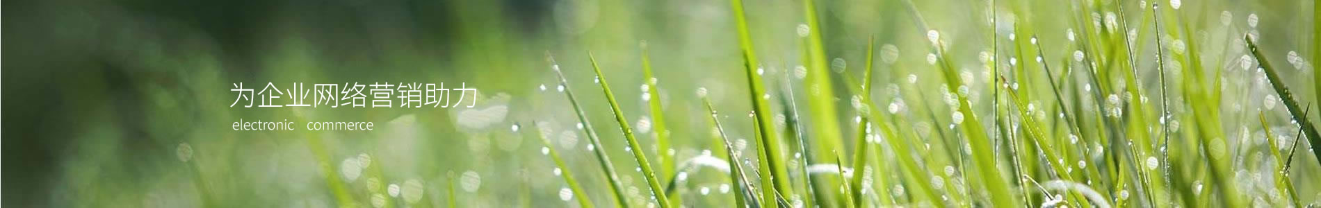 صԴе
